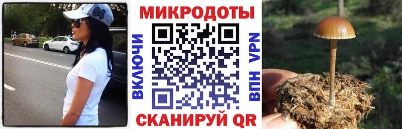 Галлюциногенные грибы Magic Shrooms  наркота  Черепаново 